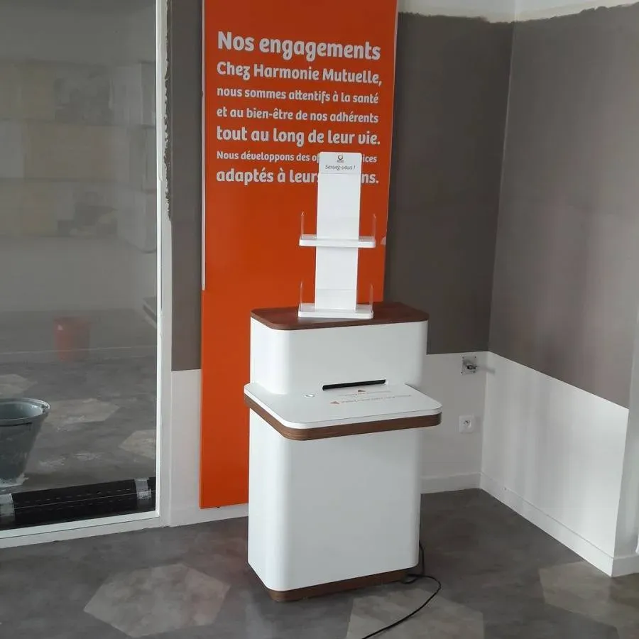 demenagement (41)